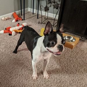 Meet your Posher, Jamie